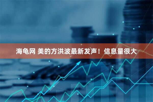 海龟网 美的方洪波最新发声！信息量很大