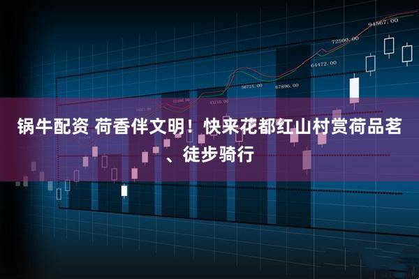 锅牛配资 荷香伴文明！快来花都红山村赏荷品茗、徒步骑行