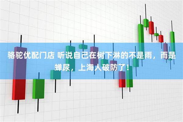 骆驼优配门店 听说自己在树下淋的不是雨，而是蝉尿，上海人破防了！