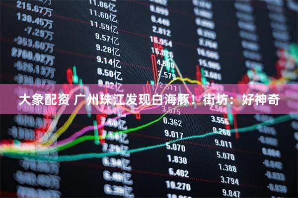 大象配资 广州珠江发现白海豚！街坊：好神奇