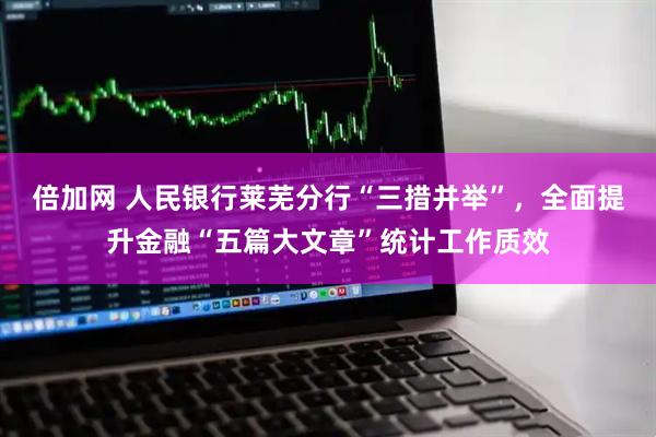 倍加网 人民银行莱芜分行“三措并举”，全面提升金融“五篇大文章”统计工作质效
