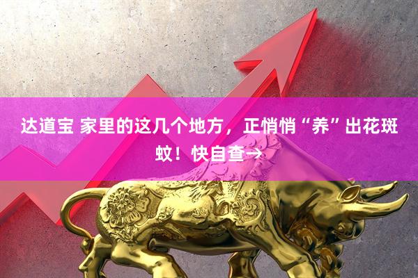 达道宝 家里的这几个地方，正悄悄“养”出花斑蚊！快自查→