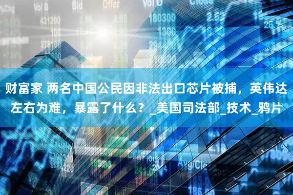 财富家 两名中国公民因非法出口芯片被捕，英伟达左右为难，暴露了什么？_美国司法部_技术_鸦片