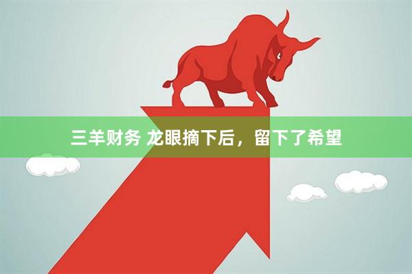三羊财务 龙眼摘下后，留下了希望