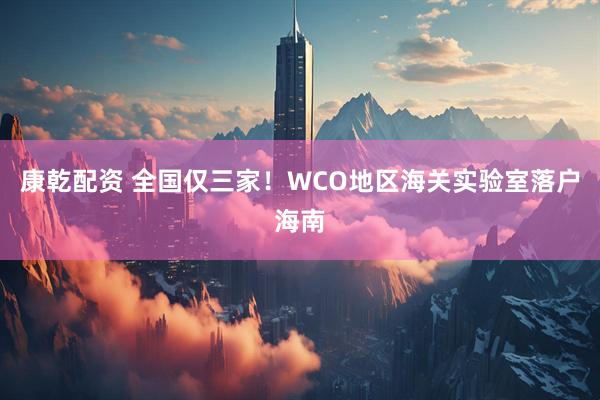 康乾配资 全国仅三家！WCO地区海关实验室落户海南