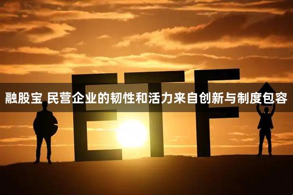 融股宝 民营企业的韧性和活力来自创新与制度包容