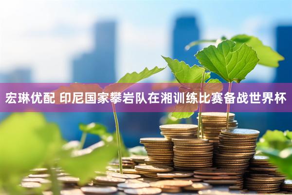宏琳优配 印尼国家攀岩队在湘训练比赛备战世界杯